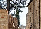 20121006 KJW 100 0985 6 7 fused 1200x800 : Assisi, Herbst