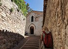 20121006 KJW 100 0991 2 3 fused 1200x800 : Assisi, Herbst