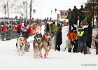 Hundeschlittenrennen in Todtmoos, 2013  -  Dog sledge racing in : Black Forest, dog sledge race, Germany, Hund, hundeschlitten, hundeschlittenrennen, musher, Schnee, schwarzwald, Todtmoos, Wiemers, Winter