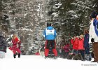Hundeschlittenrennen in Todtmoos, 2013  -  Dog sledge racing in : Black Forest, dog sledge race, Germany, Hund, hundeschlitten, hundeschlittenrennen, musher, Schnee, schwarzwald, Todtmoos, Wiemers, Winter