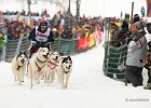 Hundeschlittenrennen in Todtmoos, 2013  -  Dog sledge racing in : Black Forest, dog sledge race, Germany, Hund, hundeschlitten, hundeschlittenrennen, musher, Schnee, schwarzwald, Todtmoos, Wiemers, Winter