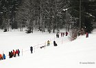 Hundeschlittenrennen in Todtmoos, 2013  -  Dog sledge racing in : Black Forest, dog sledge race, Germany, Hund, hundeschlitten, hundeschlittenrennen, musher, Schnee, schwarzwald, Todtmoos, Wiemers, Winter