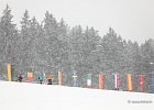 Hundeschlittenrennen in Todtmoos, 2013  -  Dog sledge racing in : Black Forest, dog sledge race, Germany, hundeschlittenrennen, musher, Schnee, schwarzwald, Todtmoos, Wiemers, Winter