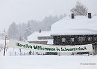 Hundeschlittenrennen in Todtmoos, 2013  -  Dog sledge racing in : Black Forest, dog sledge race, Germany, Haus, hundeschlittenrennen, musher, Schnee, schwarzwald, Todtmoos, Wiemers, Winter