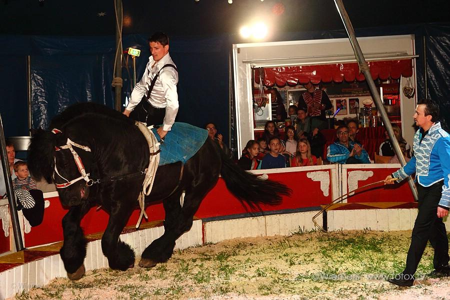 Zirkus Piccolo in Morntal-Muenchingen Mai 2013