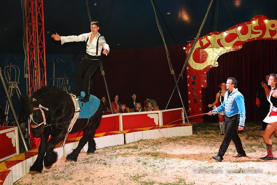 Zirkus Piccolo in Morntal-Muenchingen Mai 2013