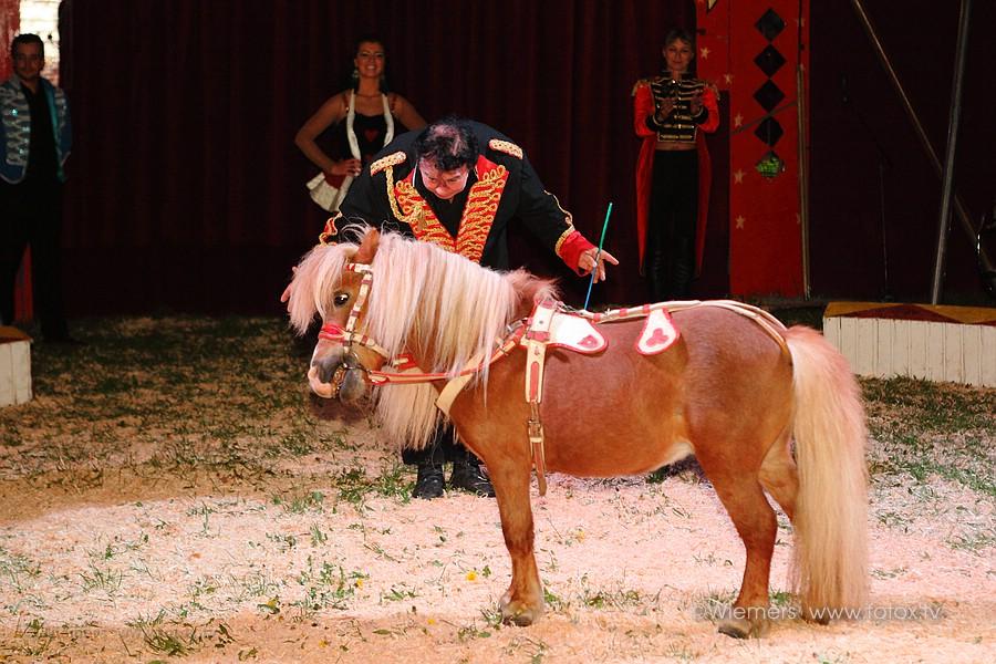 Zirkus Piccolo in Morntal-Muenchingen Mai 2013