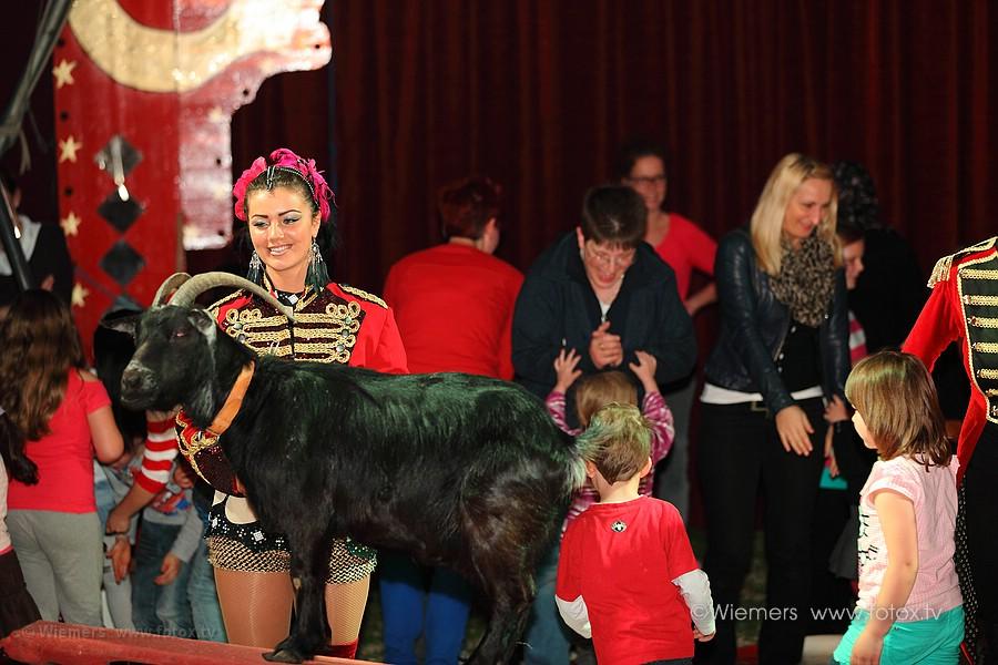 Zirkus Piccolo in Morntal-Muenchingen Mai 2013