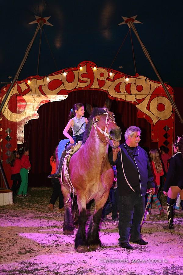 Zirkus Piccolo in Morntal-Muenchingen Mai 2013